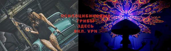 тгк Богданович